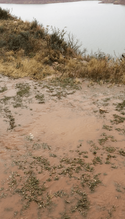 Screen Shot 2017-03-28 at 8.59.25 PM