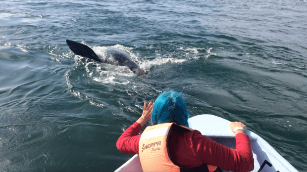 Screen Shot 2018-06-19 at 1.30.37 PM