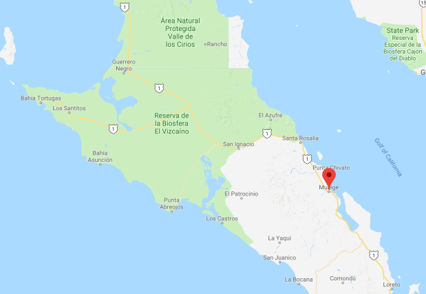 Screen Shot 2018-07-12 at 3.38.17 PM.png